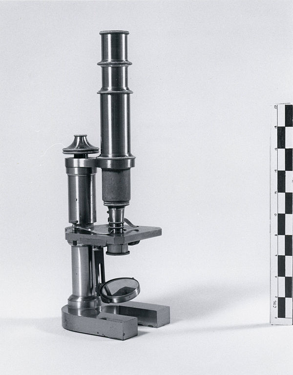 Nettie Stevens’ microscope at Bryn Mawr College.