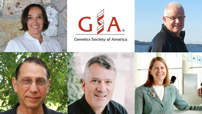 pics of GSA awardees