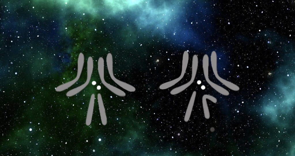 Two sets of Drosophila chromosomes against a blue and green starry field. The fourth “dot” chromosome is highlighted in white.