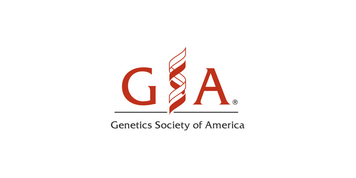 GSA logo