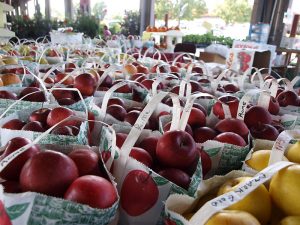 The DGRP lines were collected at the State Farmer's Market in Raleigh, NC. <a href=3966281489_photo.html by Kel and Val via Flickr.</a>