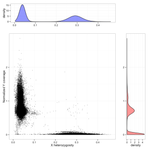 Differentiating males and females from exome sequencing data, using chrX heterozygosity (X axis) and coverage on the Y chromosome (Y axis). Males form a cluster on the left, females on the bottom right. A small number of unassigned individuals are also visible, some of whom are probable Klinefelter cases.