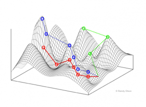 Visualization_of_two_dimensions_of_a_NK_fitness_landscape (1)